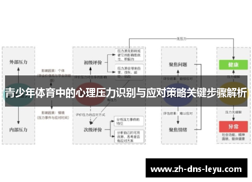 青少年体育中的心理压力识别与应对策略关键步骤解析