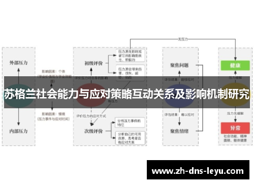 苏格兰社会能力与应对策略互动关系及影响机制研究