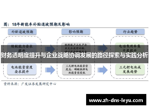 财务透明度提升与企业战略协调发展的路径探索与实践分析