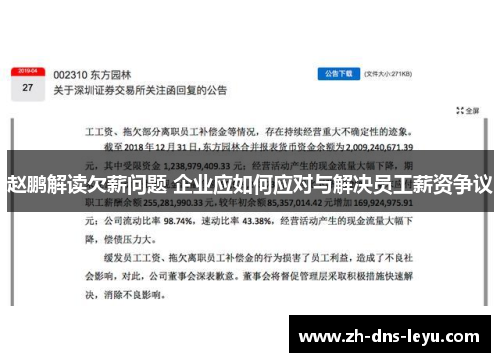 赵鹏解读欠薪问题 企业应如何应对与解决员工薪资争议