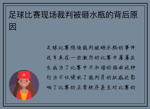 足球比赛现场裁判被砸水瓶的背后原因
